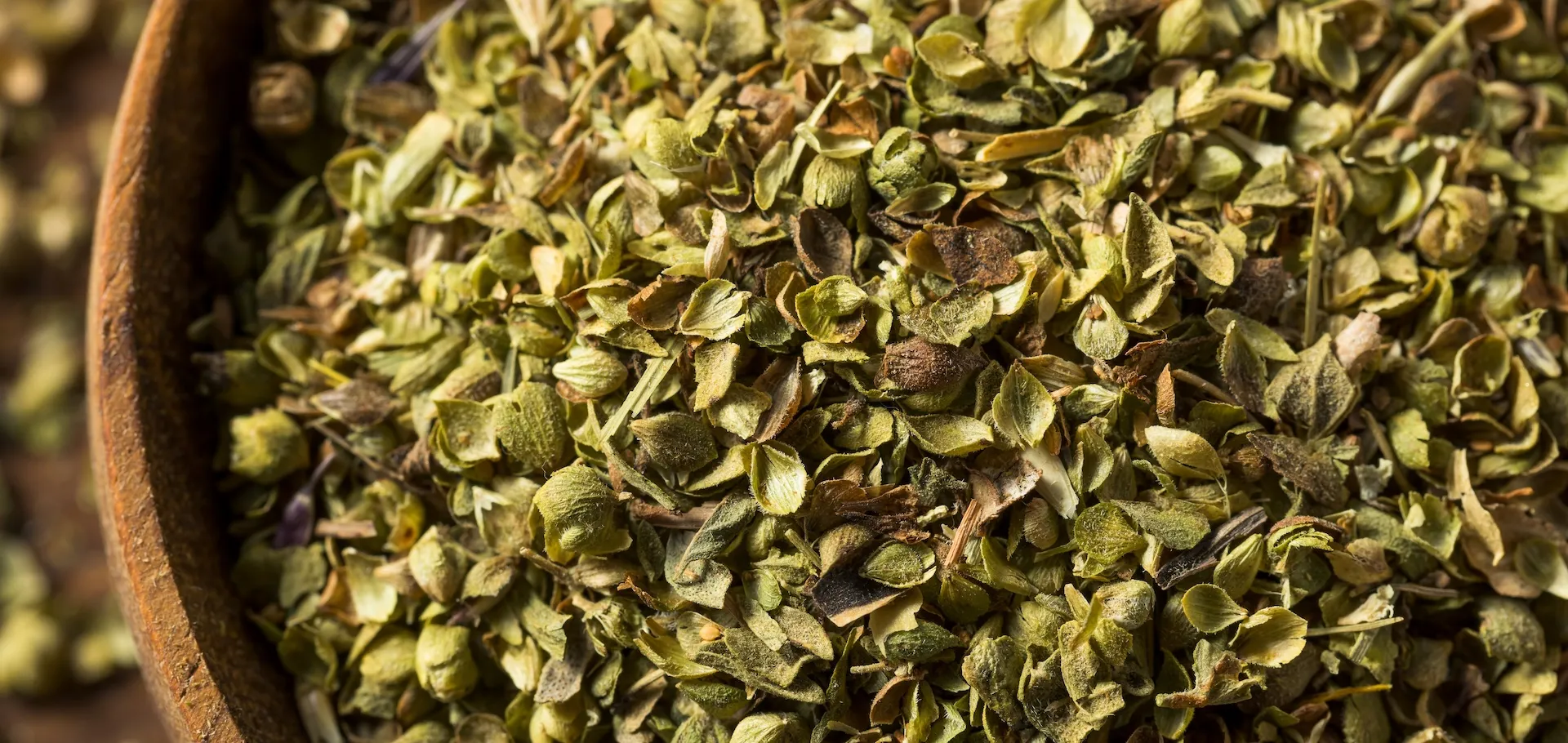 aromatic plants and herbs
